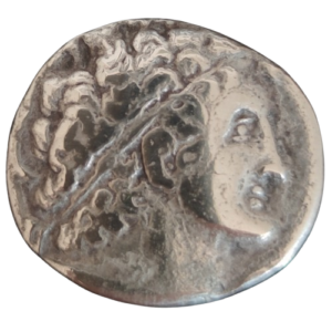 tetradrachme ptolemee IX royaume de lagide alexandrie 116-107av/jc