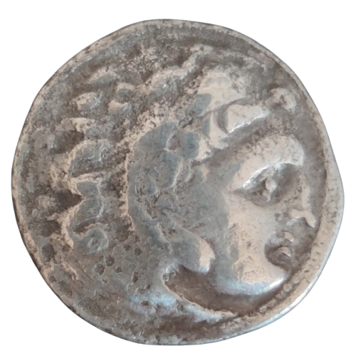 drachme antigone le borgne royaume de macédoine colophon 310-301av/jc