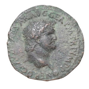 as néron 65 lyon victoire